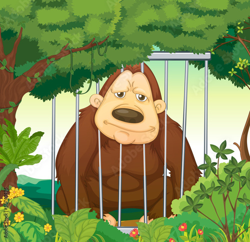 A gorilla inside a cage at the forest