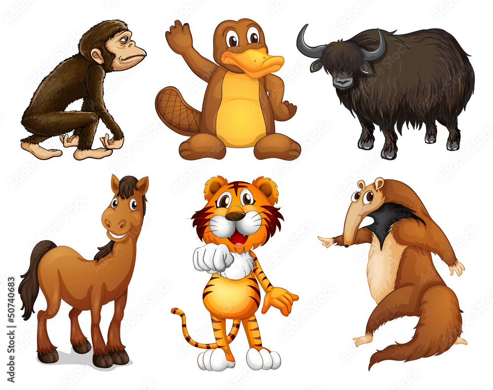 Fototapeta premium Six different kinds of four-legged animals