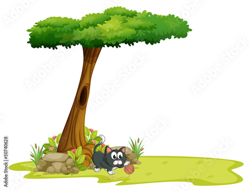 A cat playing under a tree with hollow