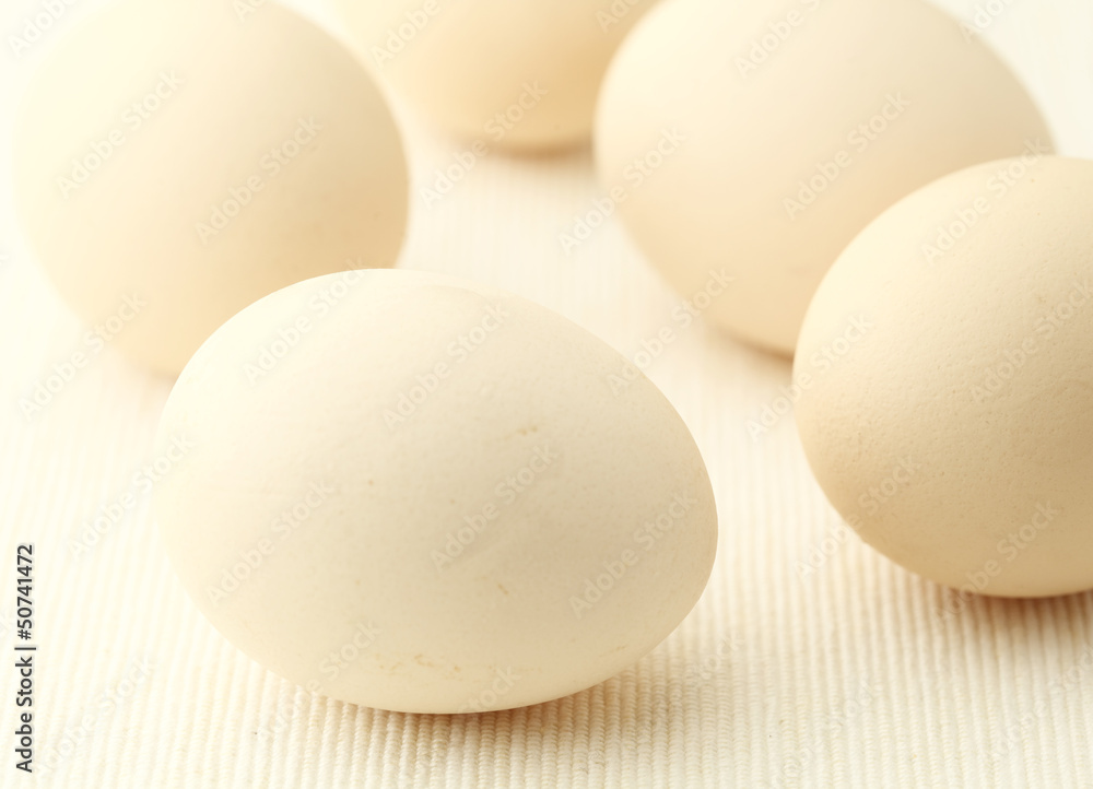 Egg Egg