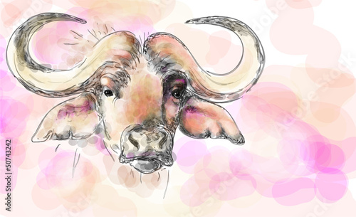 African buffalo aquarelle painting imitation