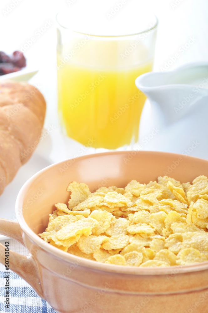 Corn flakes Corn flakes