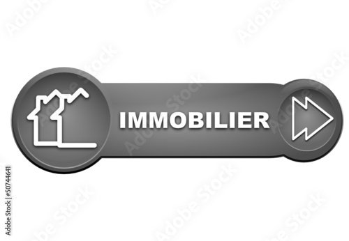 immobilier sur bouton gris