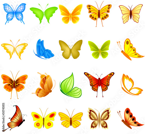 Set of  butterflies