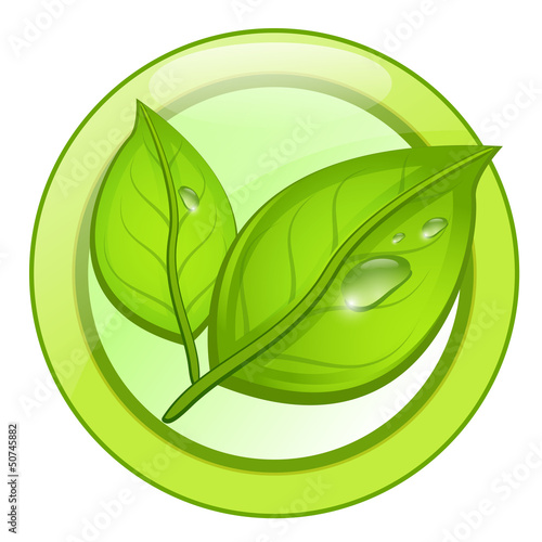 Green eco leaf logo with water drops