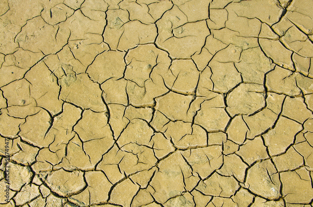 Dry soil and climatic conditions show texture.