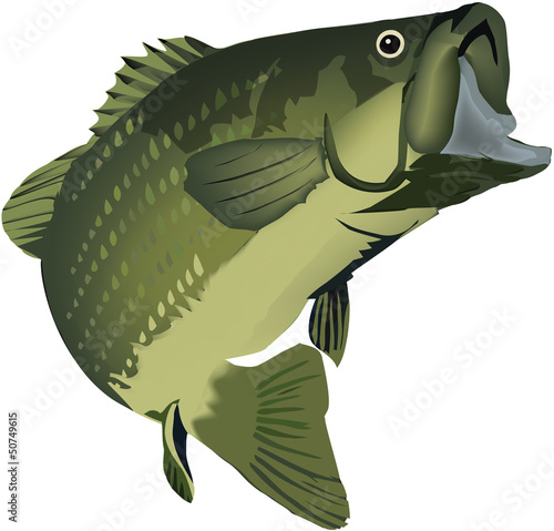 branzino