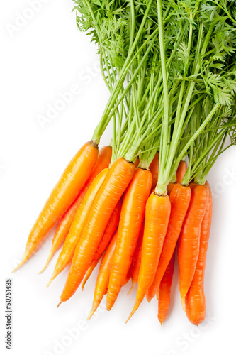 Bunch of fresh carrots with green tops