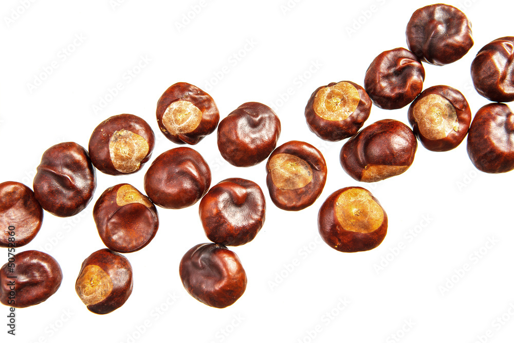 Obraz premium Chestnuts on a white