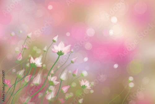 Vector of  flowers on spring bokeh background.