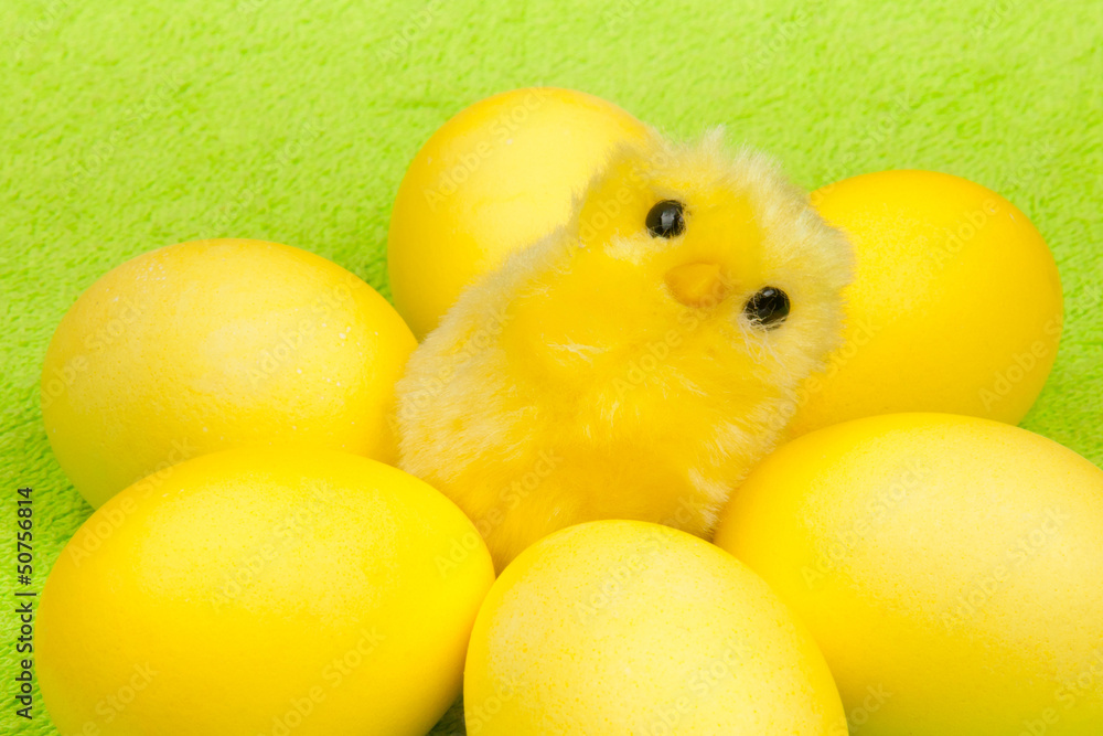 yellow chicken yellow chicken