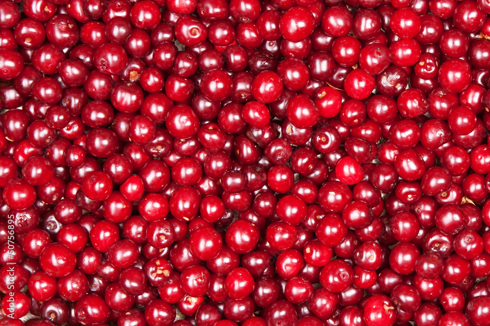 red cherry red cherry