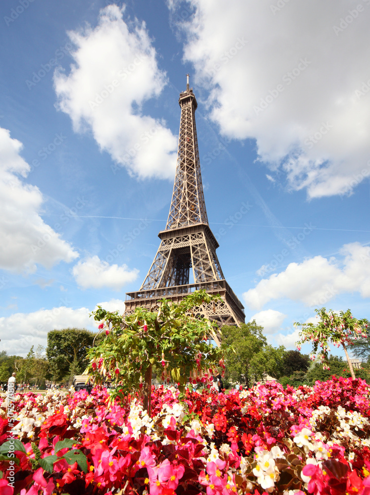 Flowers and the Eiffel Tower