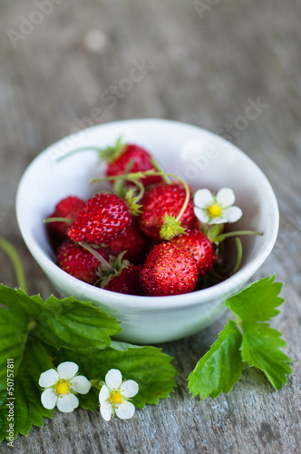 Wild strawberries in white bowl on wooden background
