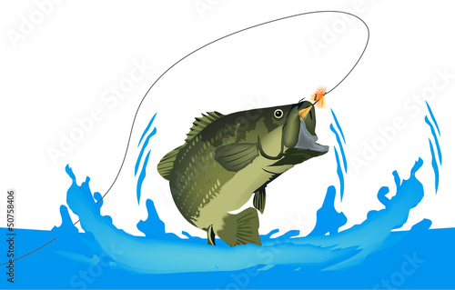 pesca con la mosca