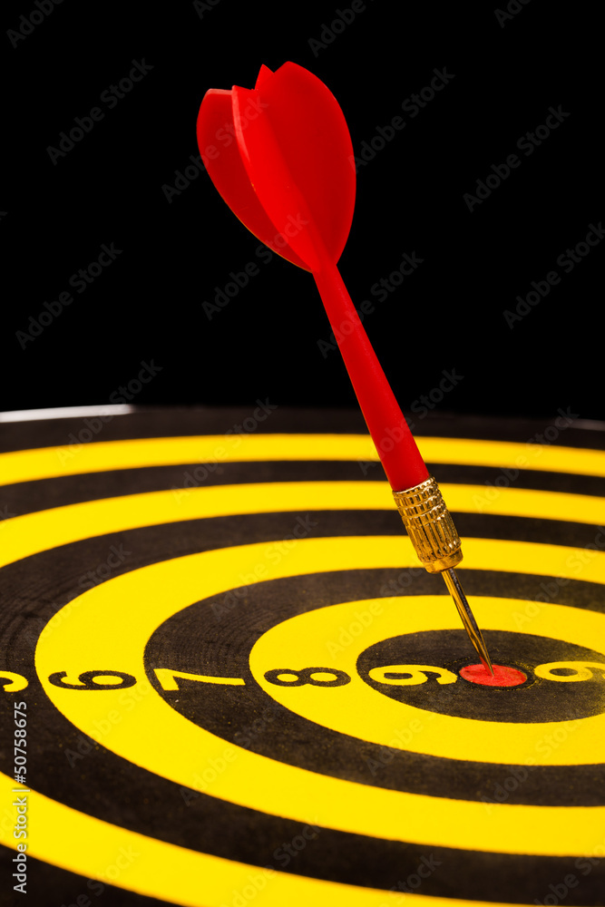 darts in the target darts in the target