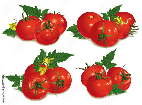 set of red tomatoes