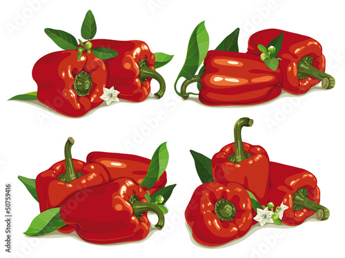 set of red pepper