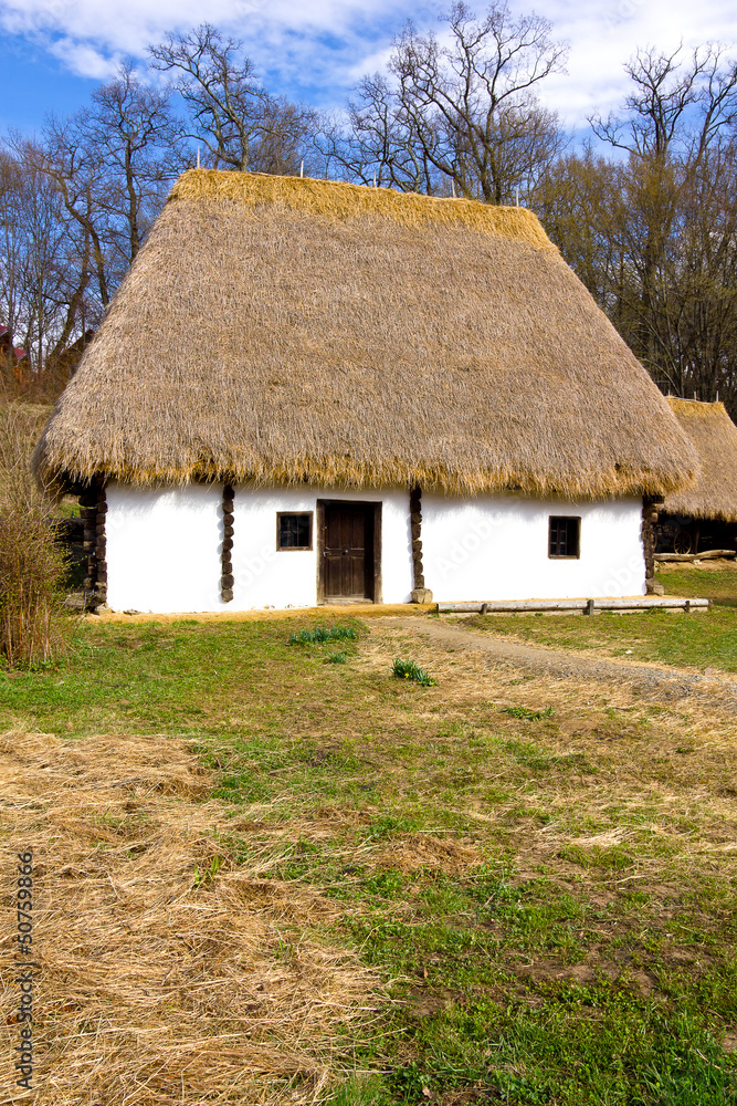 Romanian peasant house Romanian peasant house