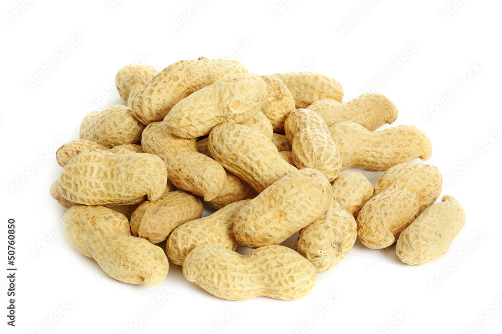 Peanuts isolated