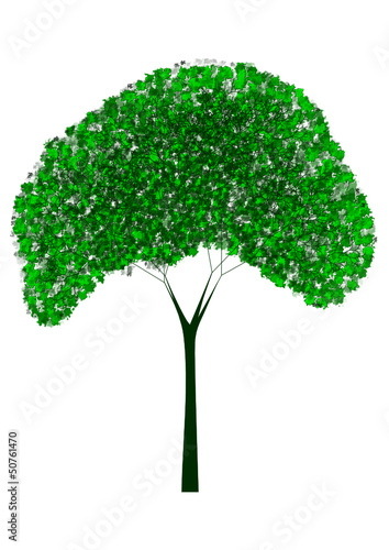 tree