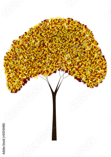 tree
