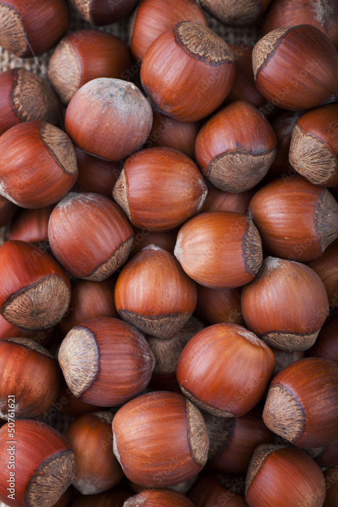 Hazelnuts Hazelnuts