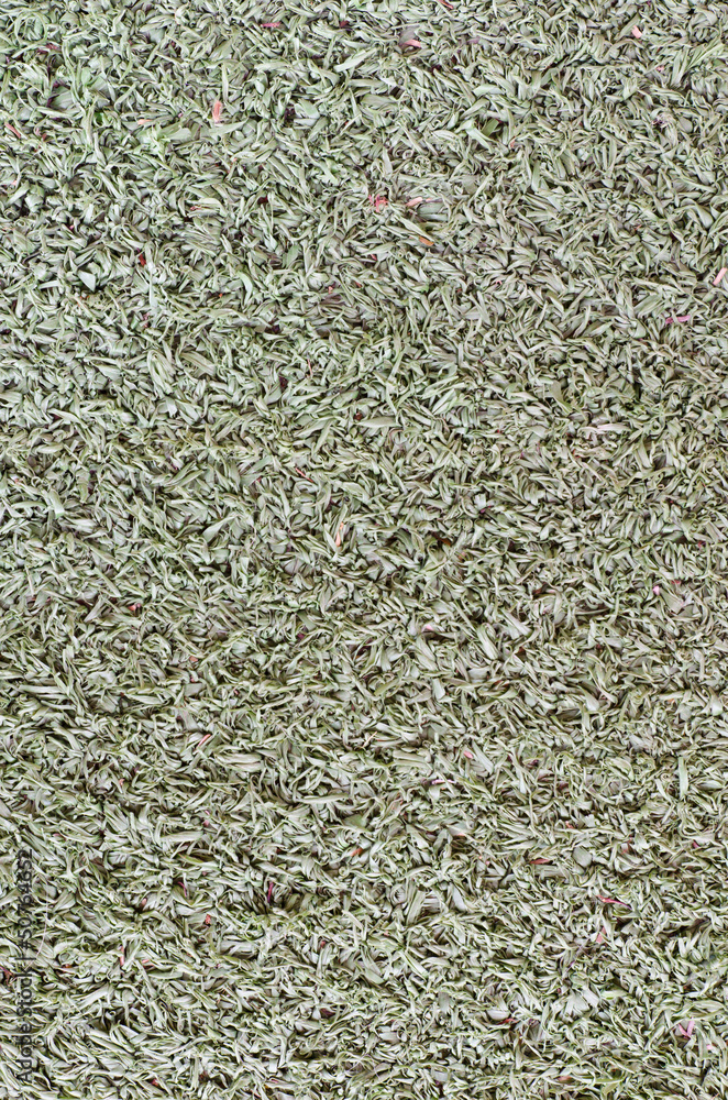 Old grass for background