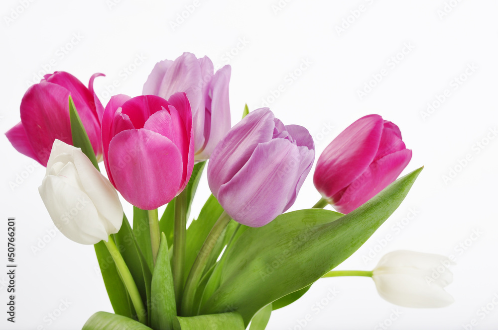 tulips bouquet tulips bouquet