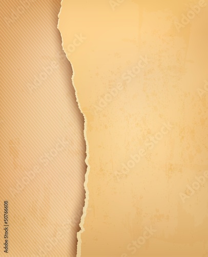 Vintage background with ripped old paper. Vector illustration.