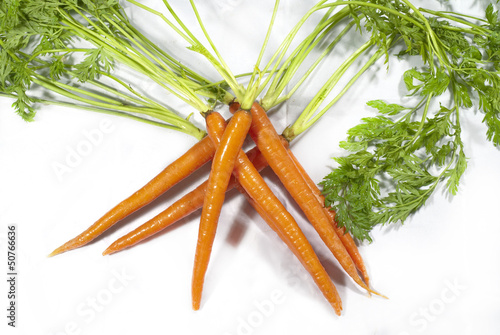 Criss Cross Carrots photo