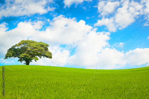Green field and tree on clear blue sky