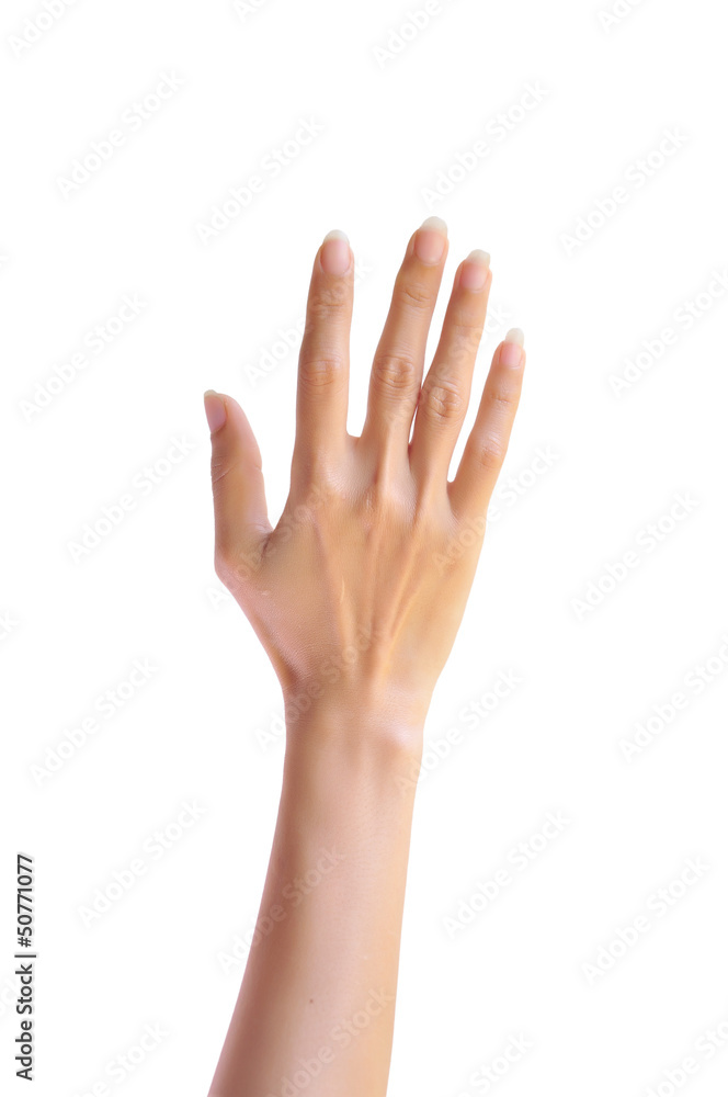 Woman hand