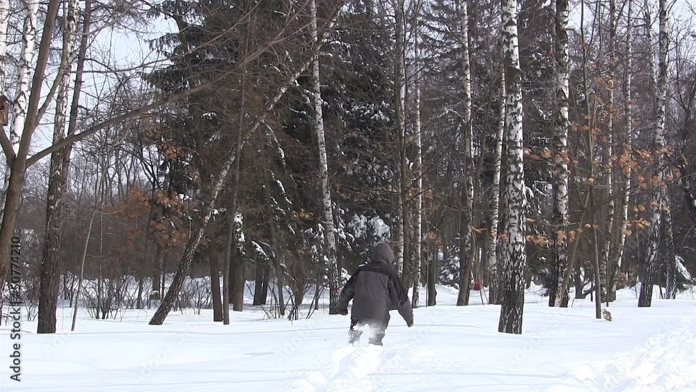 Winter. Silhouette of the man going on deep snow.PAL Winter. Silhouette of the man going on deep snow.PAL