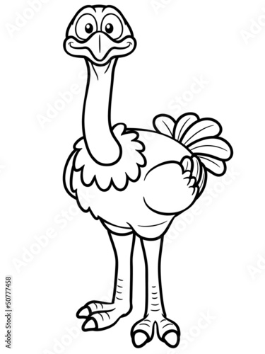 Vector illustration of Cartoon ostrich - Coloring book