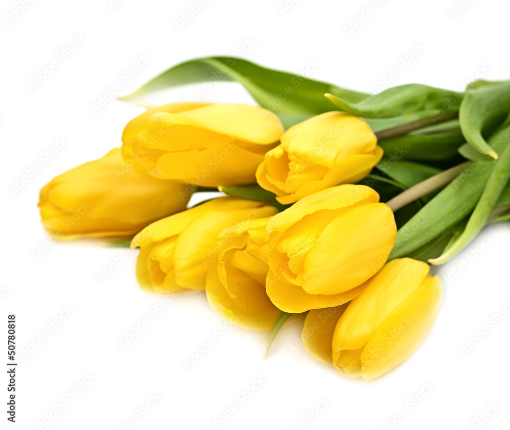Bouquet from yellow tulips Bouquet from yellow tulips