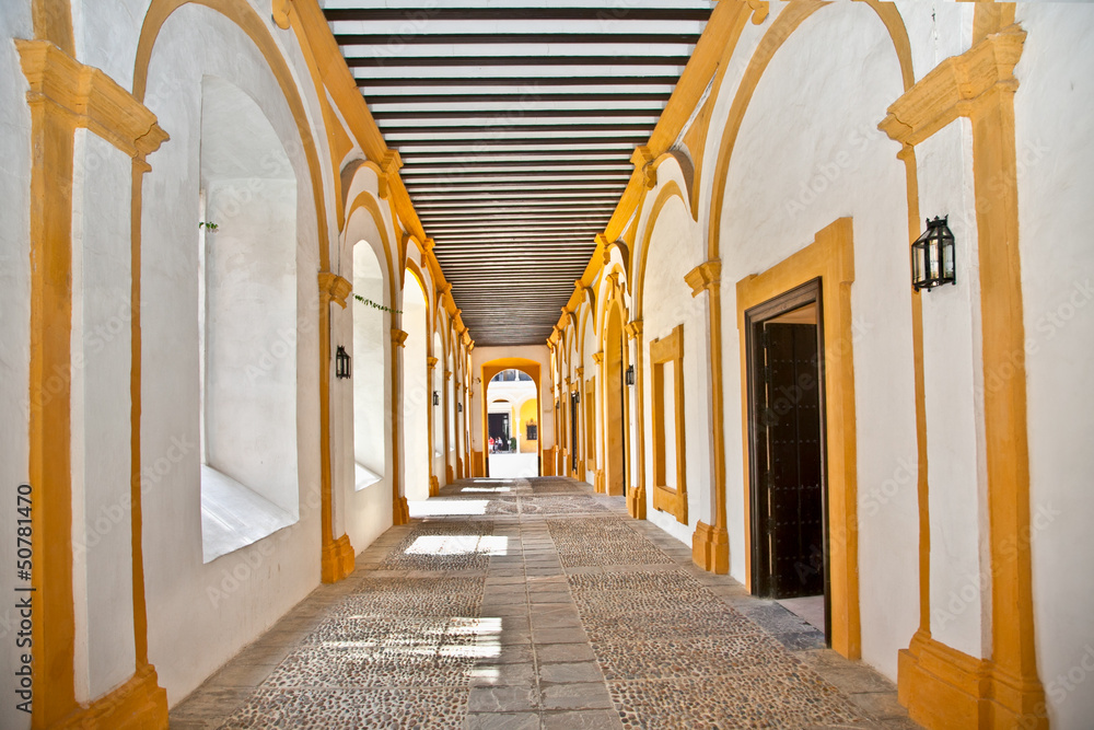 Passage  in the Royal Alcazars of Seville,  Spain.