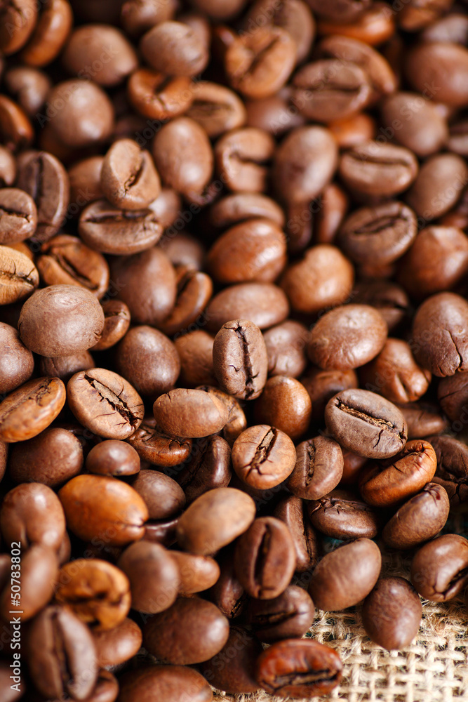 kaffeebohnen kaffeebohnen