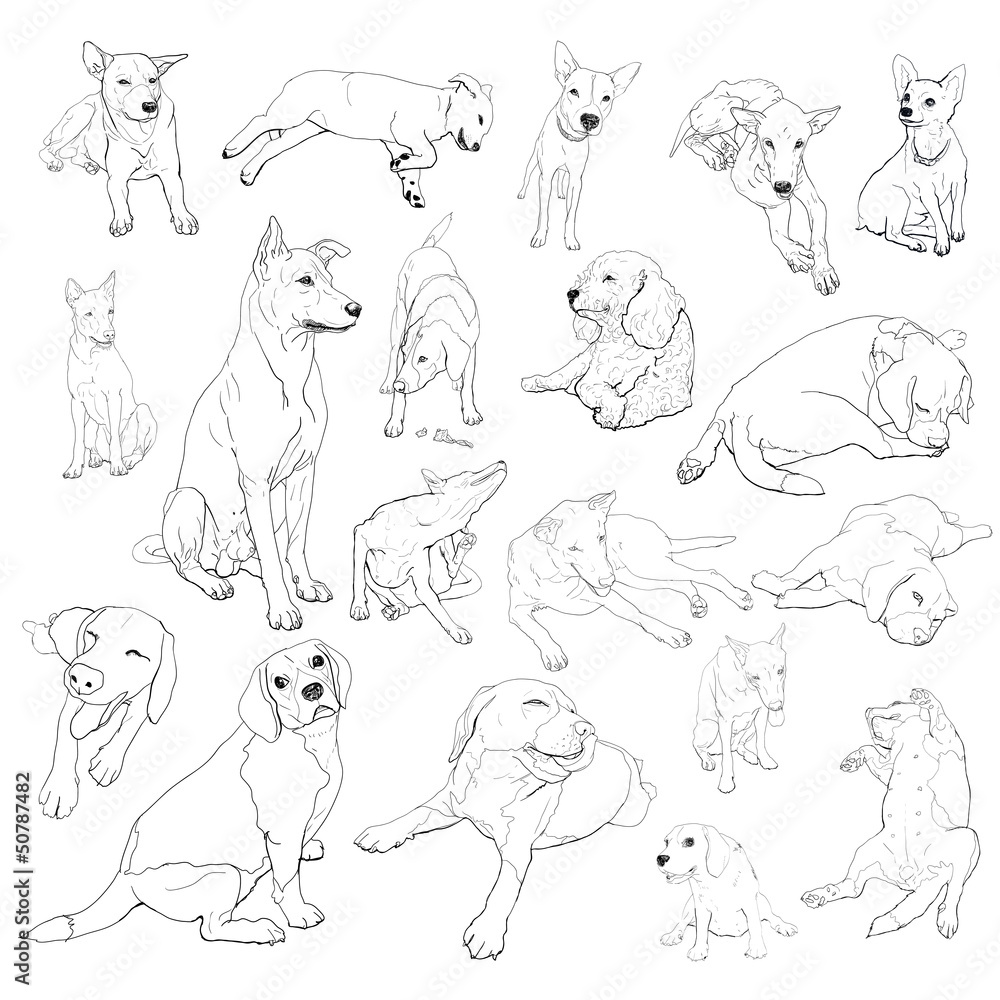 Drawing Set Of Dog On Many Pose Stock Adobe Stock drawing-set-of-dog-on-many-pose-stock-adobe-stock