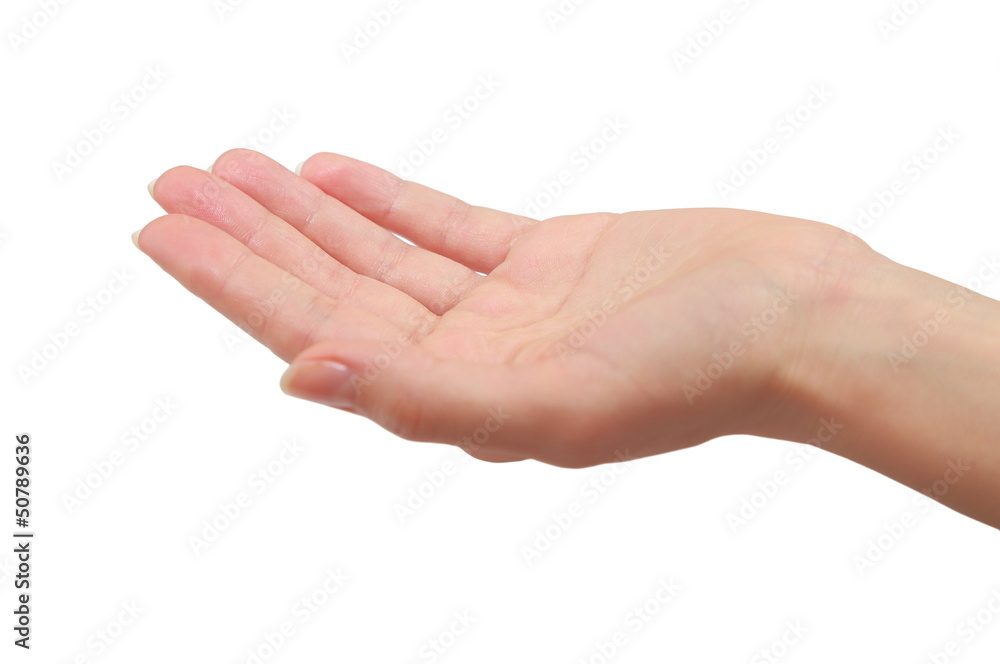 Woman hand palm holding or giving something. Closeup isolated - obrazy, fototapety, plakaty 