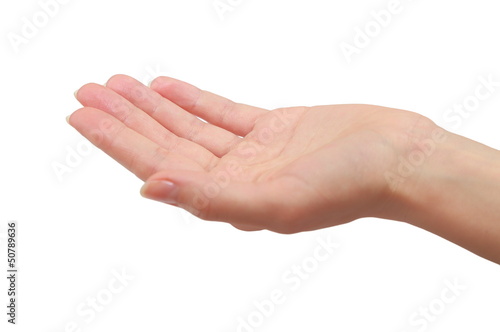 Woman hand palm holding or giving something. Closeup isolated
