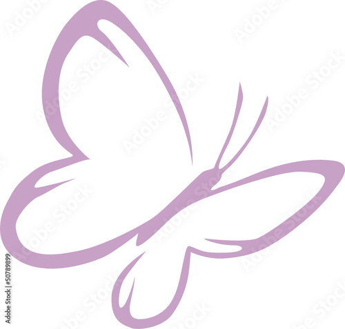 Schmetterling_1