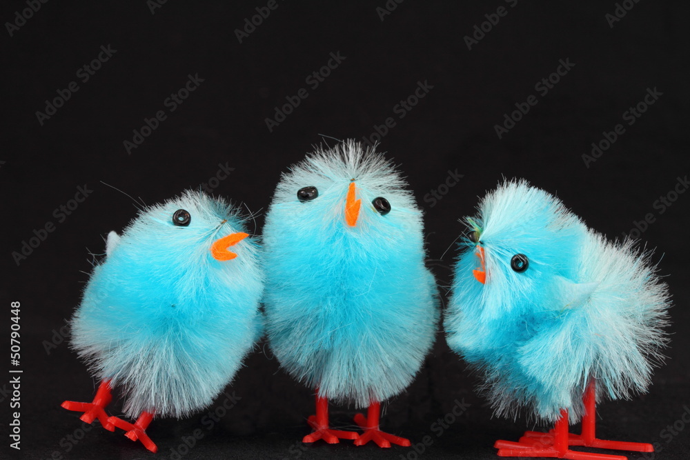 Blue Easter chicks