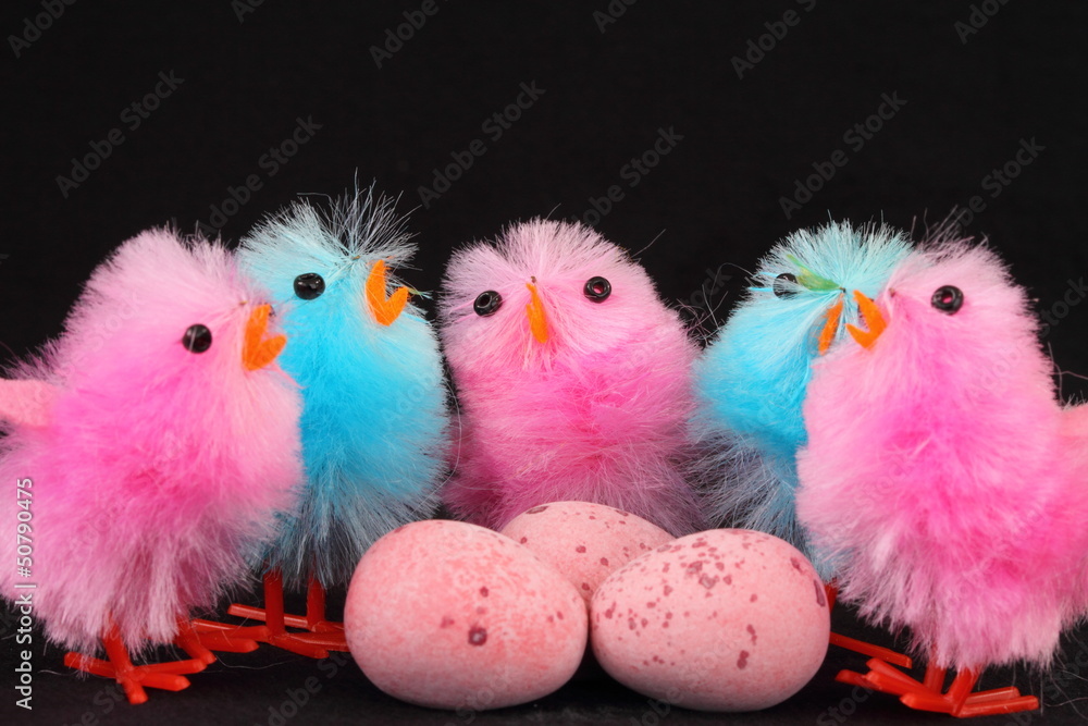Pink and blue Easter chicks with eggs