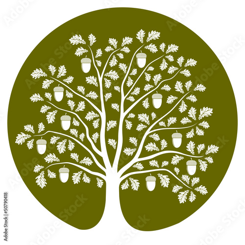 oak tree