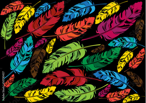 color vector design with feathers on black background