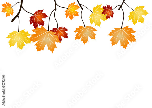 Frise feuillage d'automne