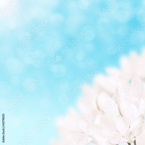 White flowers © Jekaterina
