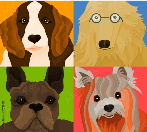 Foto Picture of a four dogs (variation on The Beatles picture)