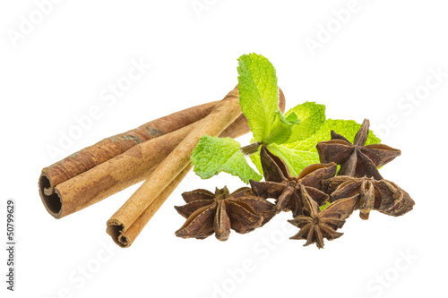 cinnamon, star-anise and mint